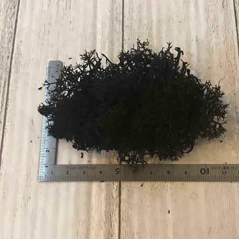 アイスランドモスブラック小分け❣️ハーバリウム花材プリザーブドフラワー