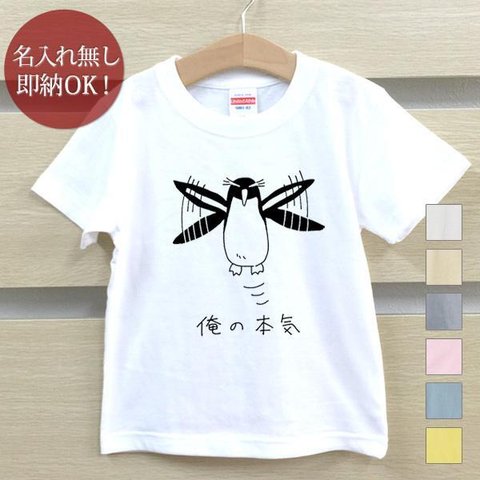 Ｔシャツ ベビー キッズ 子供 おもしろ ウケねらい  イワトビペンギン 鳥 動物 即納