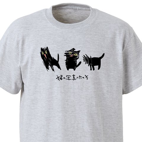 猫の写真へたくそ（三匹）【アッシュ】ekot Tシャツ <イラスト：タカ（笹川ラメ子）>