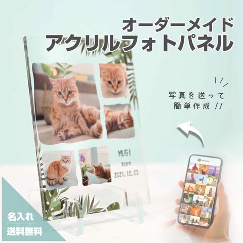 アニマル　動物　ペット写真 ペット ウサギ　オリジナル オーダーメイド 愛猫家 うちの子　ペットメモリアル グッズ 犬　犬　猫  トイプードル　ネコ　ドッググッズ　メモリアルギフト　#A14