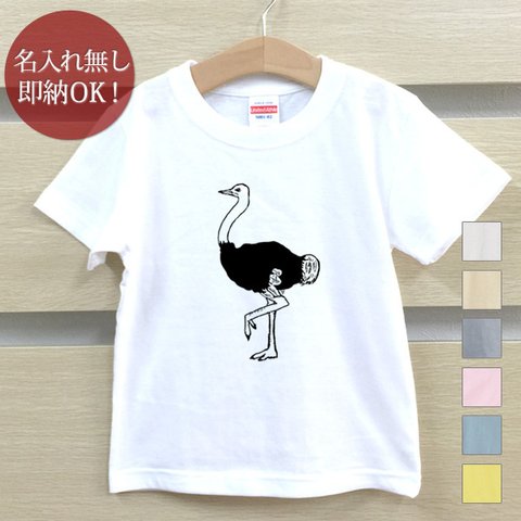 Ｔシャツ ベビー キッズ 子供 おもしろ ダチョウ　駝鳥 鳥 動物 イラスト  即納