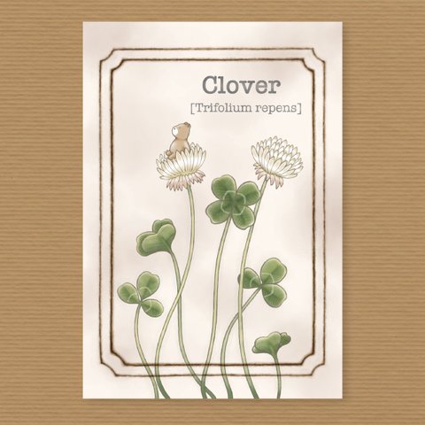 ポストカード2枚セット 春の植物図鑑《7.クローバー》