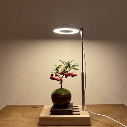 植物育成LEDライトスタンド（タモ和風）
