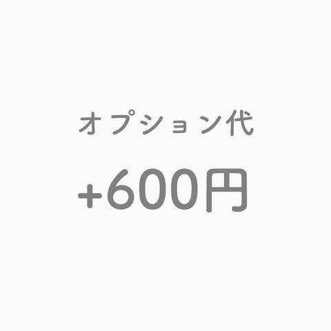 ★オプション代 ＋600円★