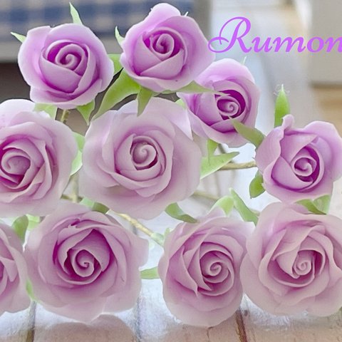 Rumonミニチュア  薔薇　紫色