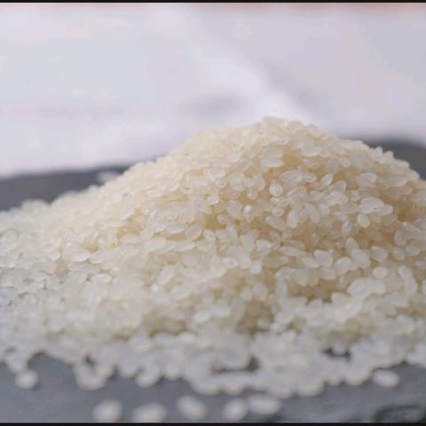 岡山西大寺✩特別栽培米　精米　ヒノヒカリorにこまる　５kg