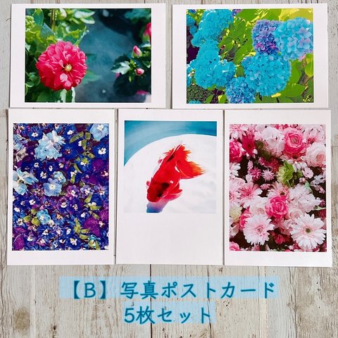 【B】写真ポストカード5枚セット