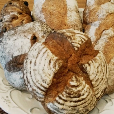 自家製の天然酵母の長時間発酵パン🍞