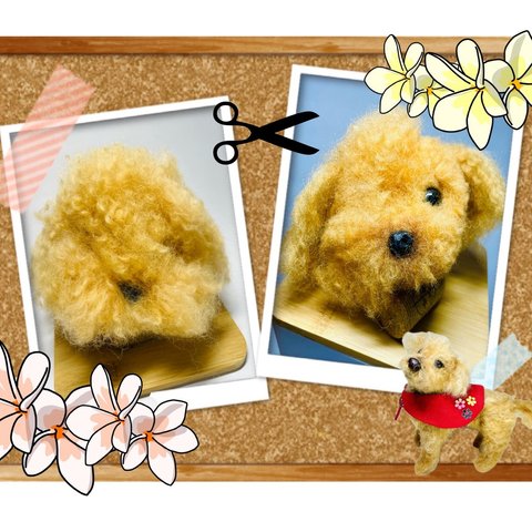 トリマー体験🐩✂️☆トリミング練習マネキンさん🐶羊毛フェルトどうぶつ広場　Calicos