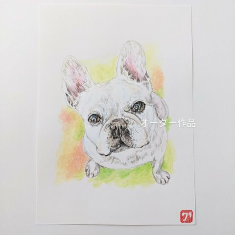 オーダー品　ペット似顔絵　ペットイラスト　犬イラスト　参考作品