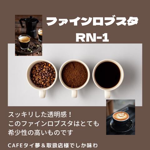 感動のタイコーヒー　冷めてもおいしい「ファインロブスタ 【RN-1】200g(100g入×2袋)」