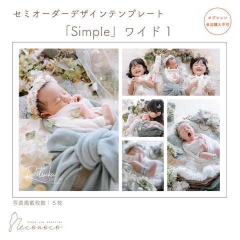 「Simple」ワイド１　セミオーダーデザイン　※単品購入不可　[OPDTW6]