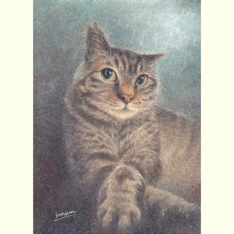 展示③猫の似顔絵‐パステル＆色鉛筆