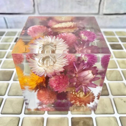 煌めくクリスタルハーバリウム〜helichrysum & globe amaranth〜
