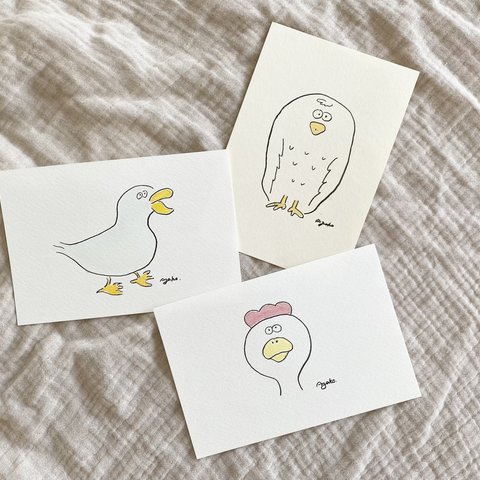 birds    🦜　postcards