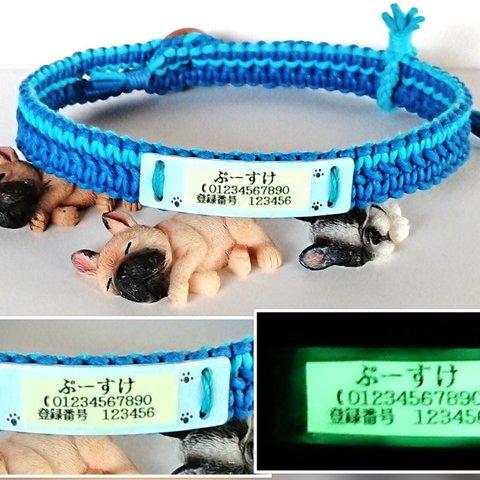 オーダー受付作品　光る迷子札！首輪にピッタリ付けて安心 カラフルポップなワンちゃん首輪と迷子札（肉球付き）155