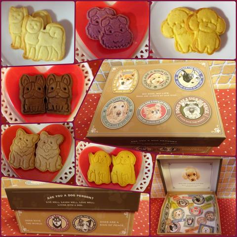 犬のイラスト貼り箱に犬の形のクッキー６袋詰め合わせ♪(*^▽^*)