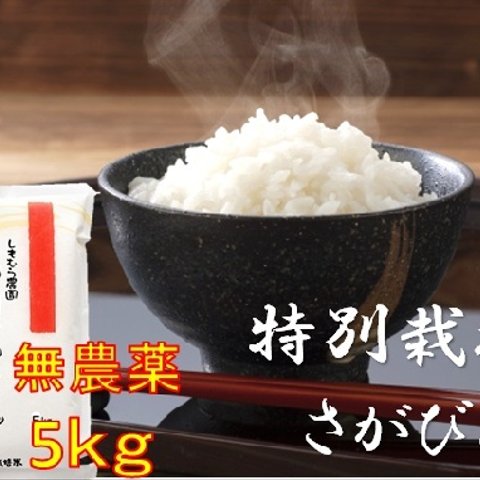 もっちりつやつや特別栽培米5kg　【無農薬米】佐賀県産さがびより