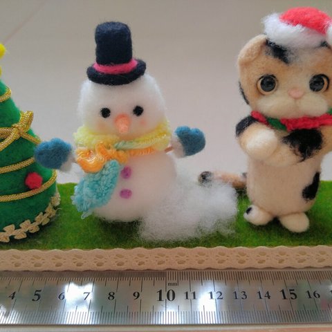 クリスマス子猫