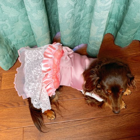 華やか犬服ワンピース(ピンク)