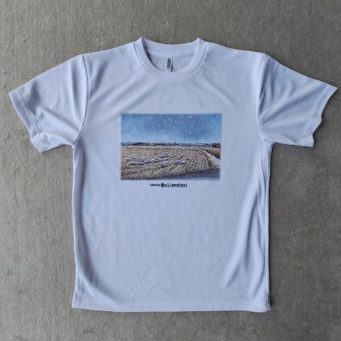 NEW!　手描き風景スケッチTシャツ　コハクチョウ