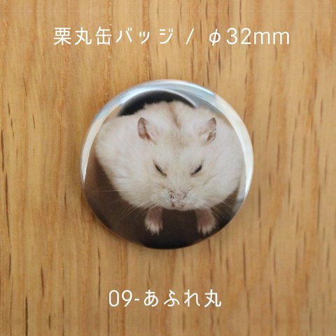 栗丸缶バッジ（32mmタイプ）【09-あふれ丸】