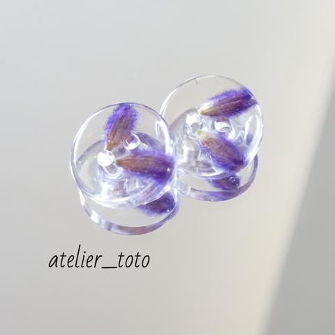 摘みたてラベンダーのクリアボタン10ｍｍ２個セット【本物のお花入り】 