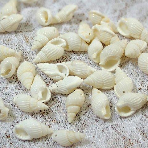 貝殻ビーズ　巻貝　ホワイト染め　３０個セット
