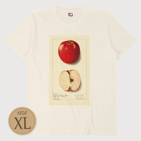 XL〔T0157〕林檎／りんご／アップル／Apple【USDA Watercolor Collection】水彩画／手描き／ナチュラル／果物／S M L XL Tシャツ