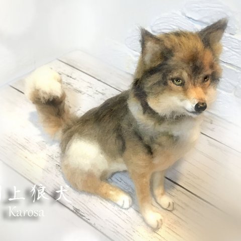 狼　狼犬　川上犬　ウルフドッグ　羊毛フェルト　アートドール