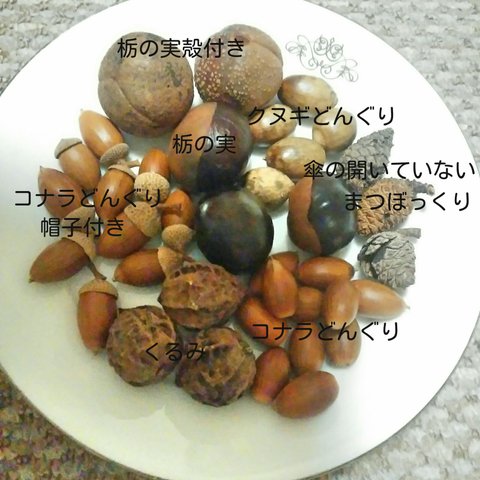 北海道産　木の実　いろいろセット