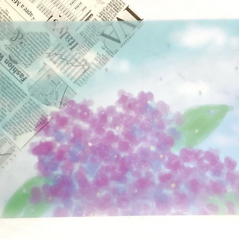 【紫陽花】5枚　トレーシングペーパー　可愛い　お花　自然　梅雨　季節　雨　キレイ　ラッピング