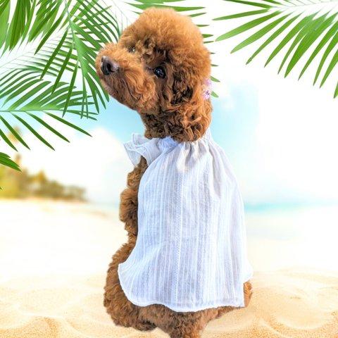 《SALE》犬服 ふんわりギャザーワンピース 春夏ワンピ 完成品