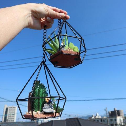 多肉植物のある風景 Hanging Plants ★ Guitar Boy