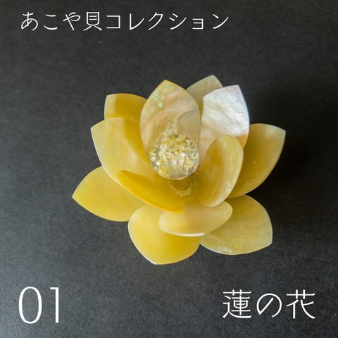 あこや貝細工　蓮の花　01