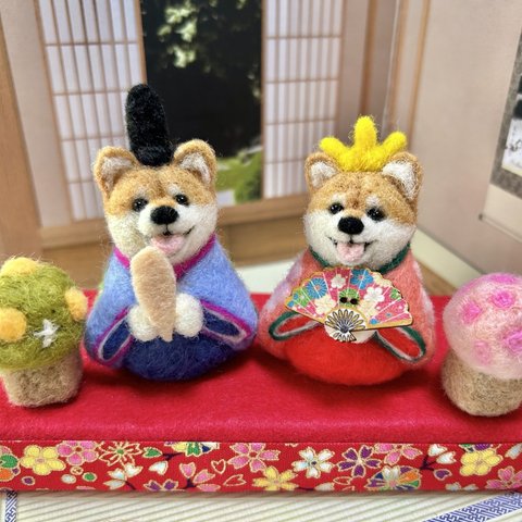 ひな祭り🎎柴犬ちゃんのちっちゃなお雛様🌸(羊毛フェルト)