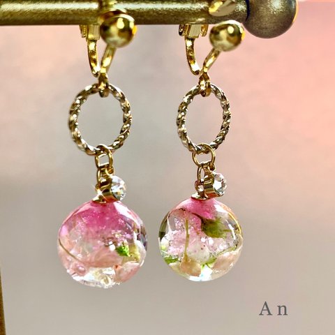 桃色水中花　ｲﾔﾘﾝｸﾞ／ﾋﾟｱｽ