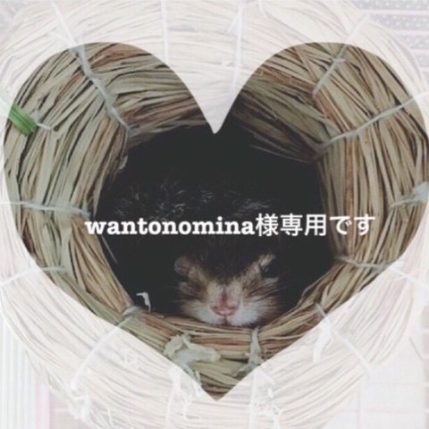 wantonomina様専用　オーダーリクエスト