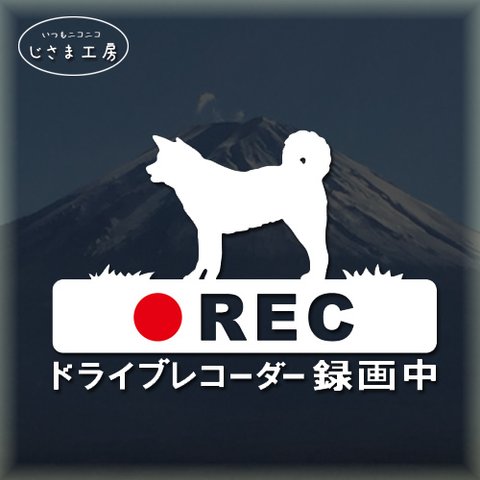 秋田犬の白色シルエットステッカー煽り運転ドライブレコーダー録画中‼