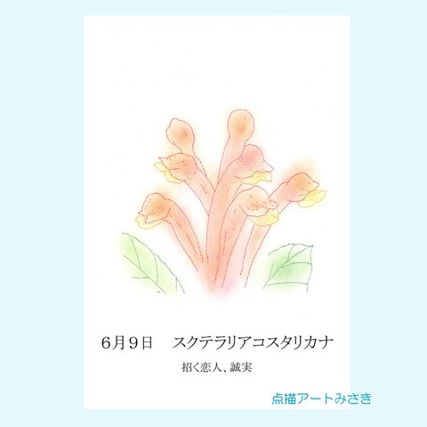 6月09日誕生花カード（花言葉つき）点描画