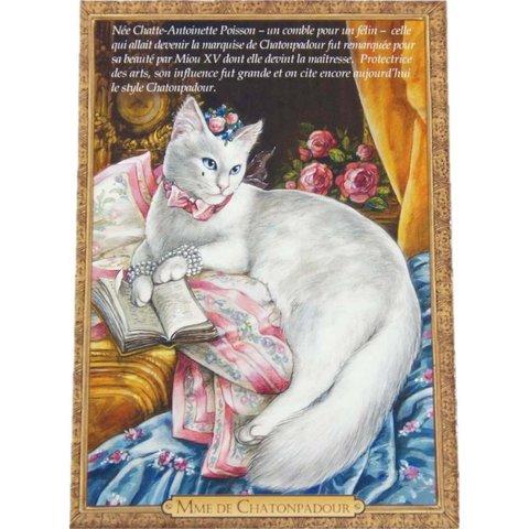 【 セブリーヌ ☆ ポストカード ２枚セット 】 Mme de Chatonpadour ポンパドゥール夫人 猫 ネコ キャット はがき Chats enchantes 94142PC