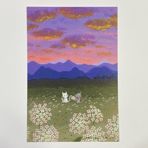 『夕暮れ花摘み』ポストカード3枚セット