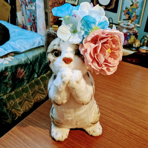 猫の花冠⑫