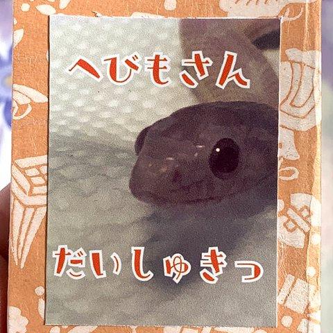 へびもさんだいしゅきっ