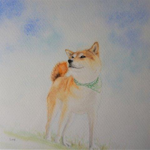 【送料無料】絵画「柴犬、青空。」