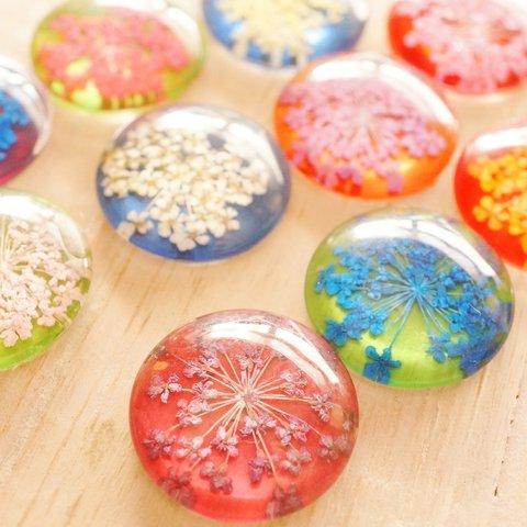 20mm 5個 花ガラスカボション 丸薄めMIX クリア ドライフラワー