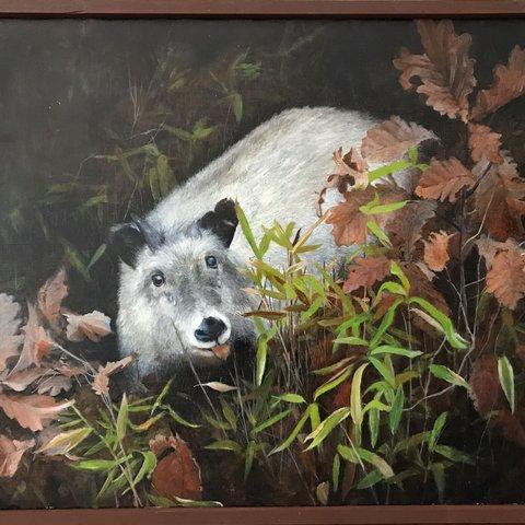 裏山で　※油彩画　　Serow ※Oil painting