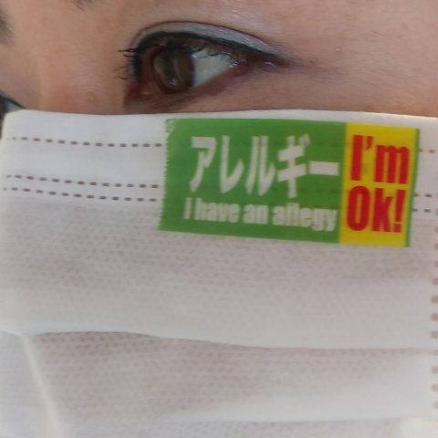 こんなの欲しかった！　マスクに貼る　アレルギーシール