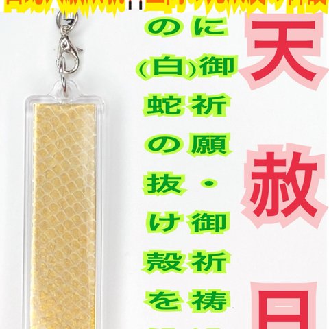 スティック✨縦長✨チャーム✨ストラップ✨ゴールド✨脱け殻✨金運✨商売繁盛✨アップ✨上昇✨結婚✨財運✨恋愛✨仕事運✨開運✨子宝✨白蛇の抜け殻✨メモリーオイル使用✨白蛇のお守り【天赦日ご祈祷済】