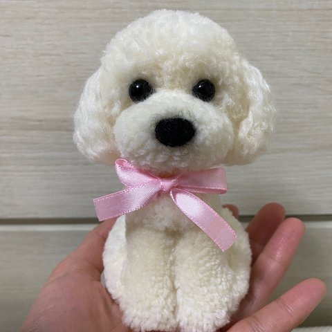 動物ぽんぽん トイプードル    毛色　ホワイト